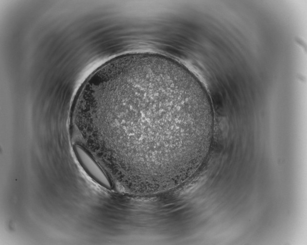 X0000097300951200802221332