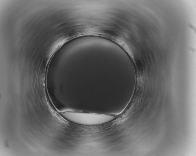 X0000097300954200802221332