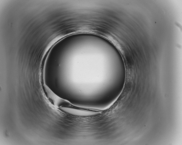 X0000097300955200802221332