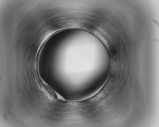 X0000097300956200802221332