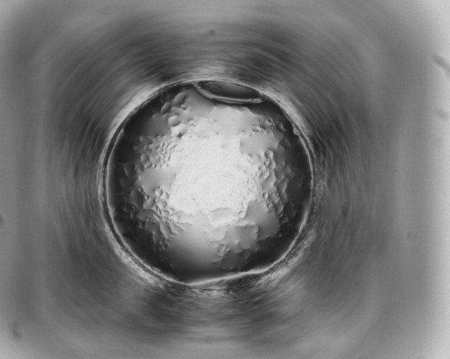 X0000097300957200802221332