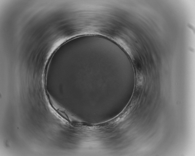 X0000097300958200802221332