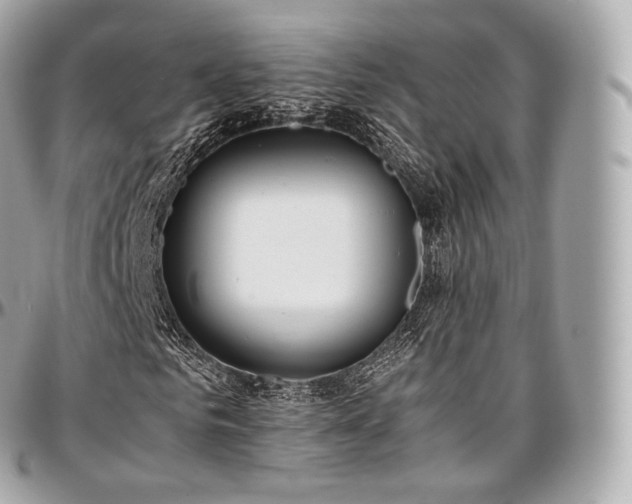 X0000097300961200802221331