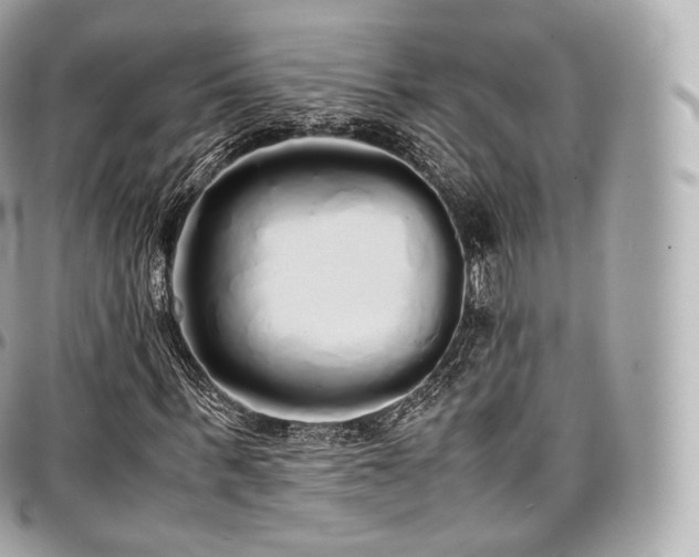 X0000097300963200802221331