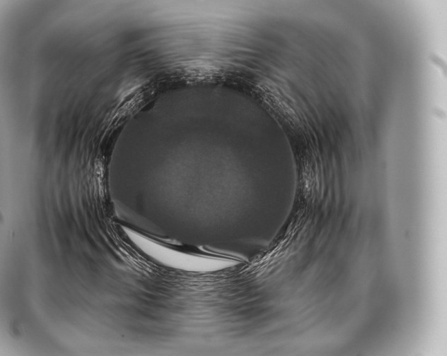 X0000097300964200802221331