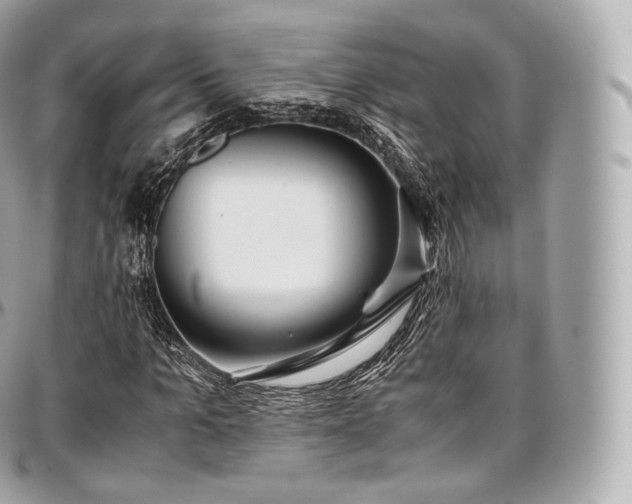 X0000097300965200802221331