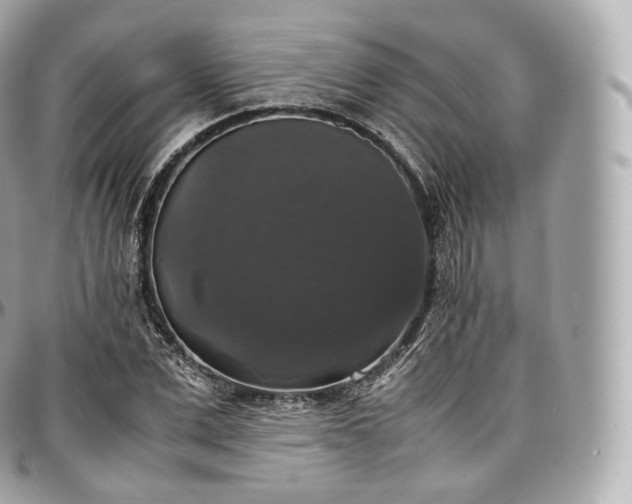 X0000097300975200802221331