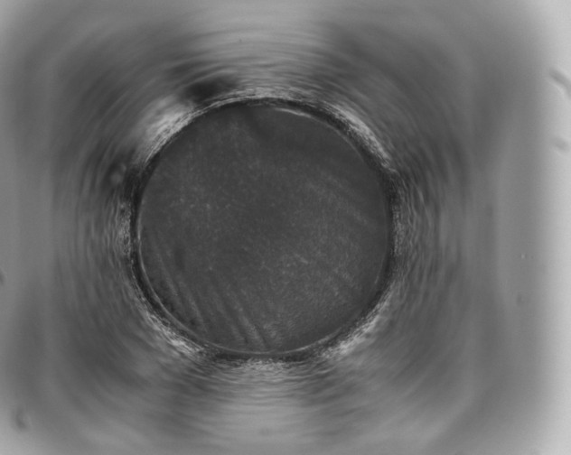 X0000097300977200802221331