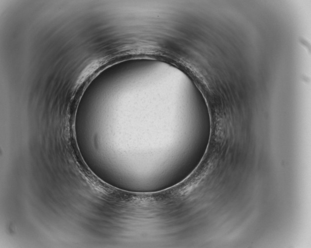 X0000097300978200802221331