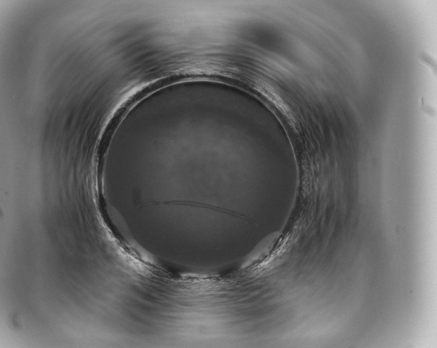 X0000097300984200802221331