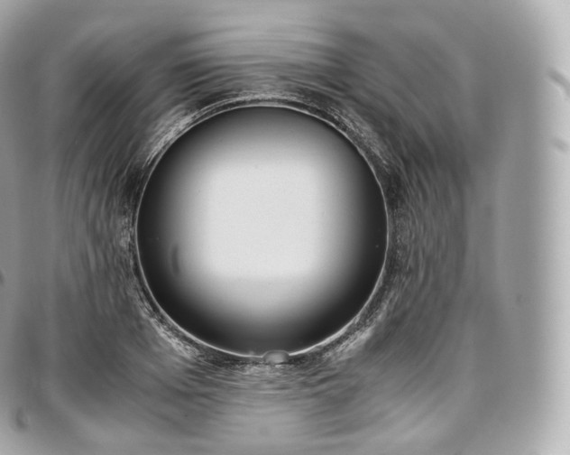 X0000097300985200802221331