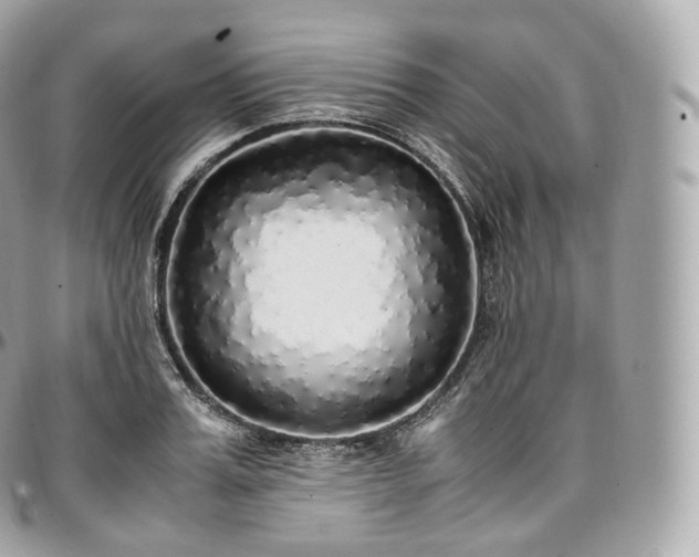 X0000097300987200802221331