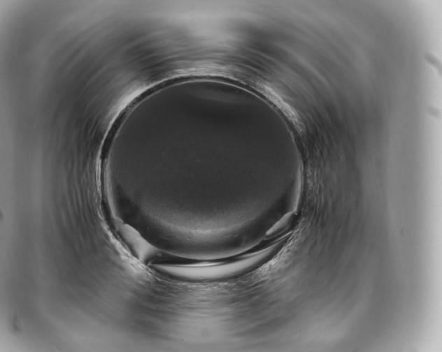 X0000097300988200802221331