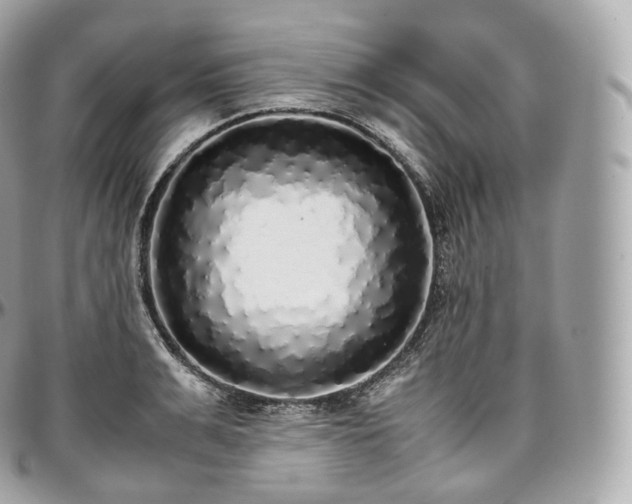 X0000097300991200802221331