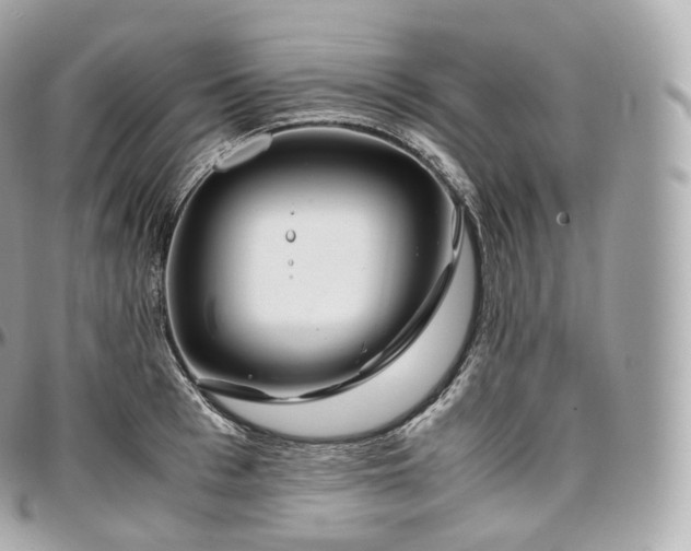 X0000097300993200802221331
