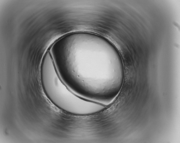X0000097300996200802221331