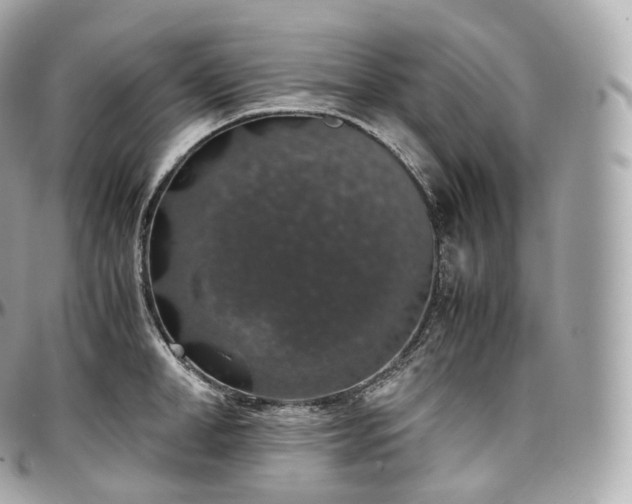 X0000097300998200802221331