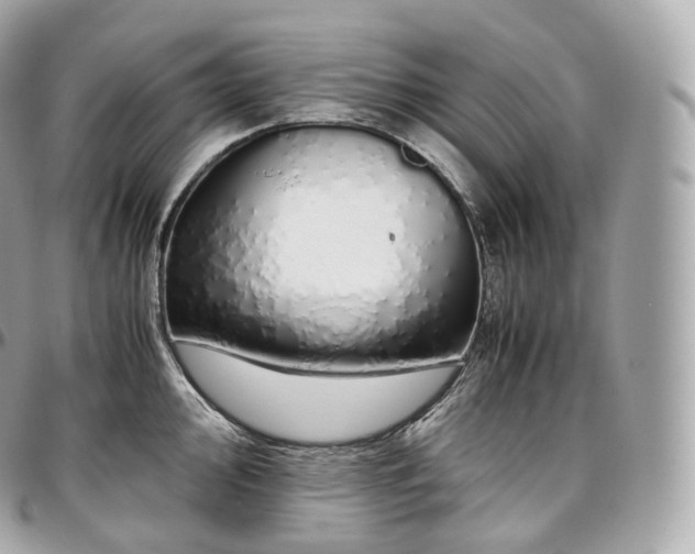 X0000097301000200802221331