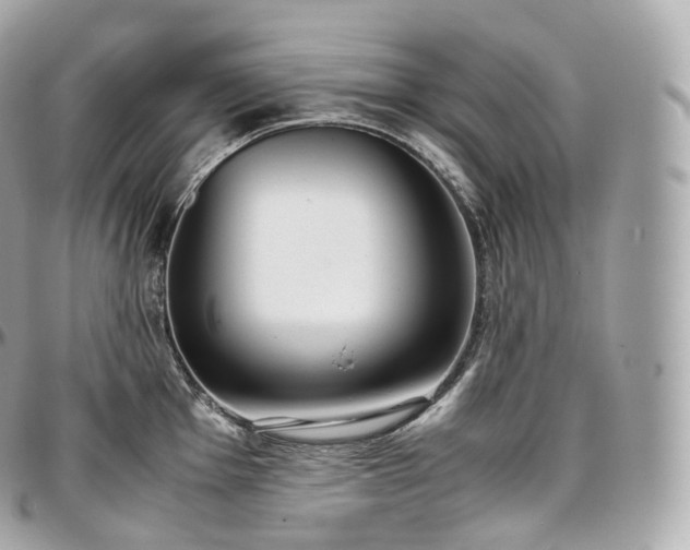 X0000097301001200802221331