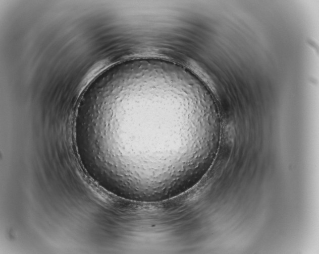 X0000097301002200802221331