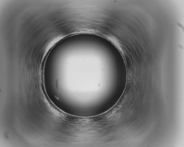 X0000097301003200802221331