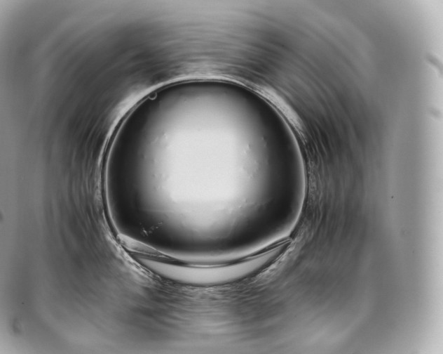 X0000097301004200802221331