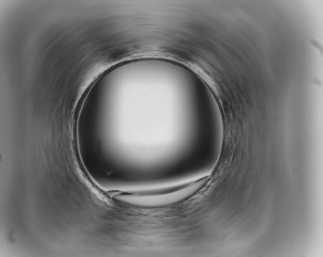 X0000097301005200802221331