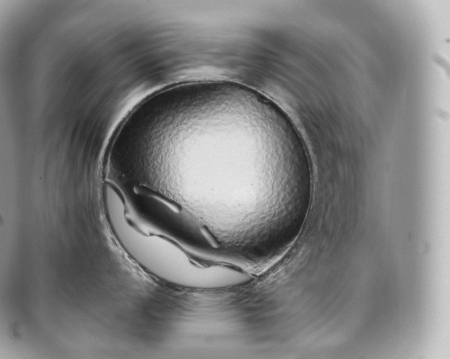 X0000097301008200802221331