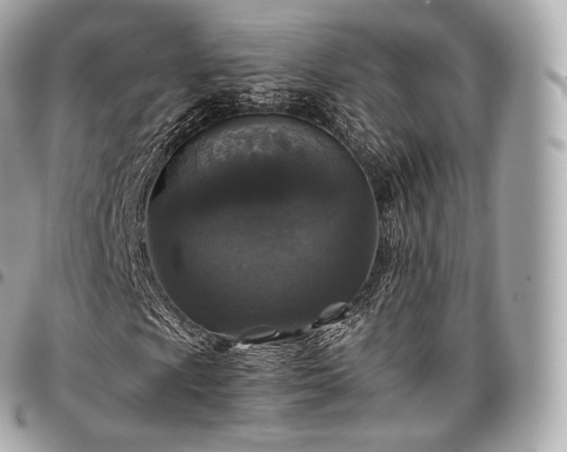 X0000097301009200802221330