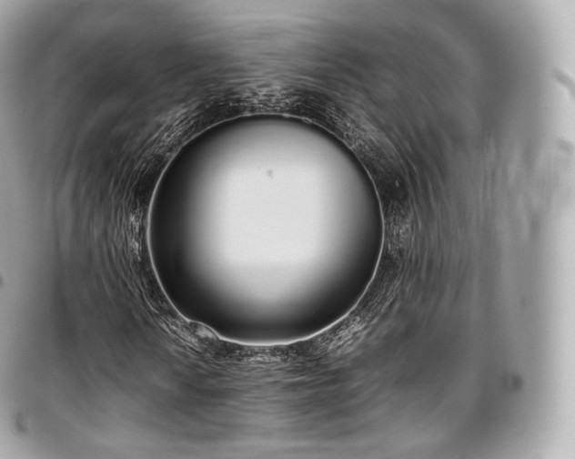X0000097301010200802221330