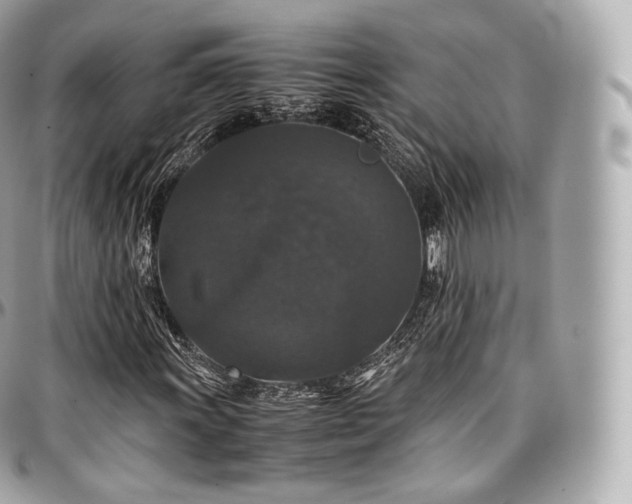 X0000097301011200802221330