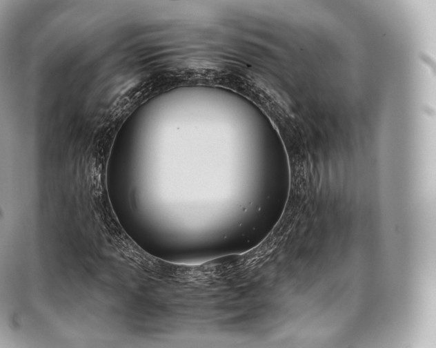 X0000097301013200802221330