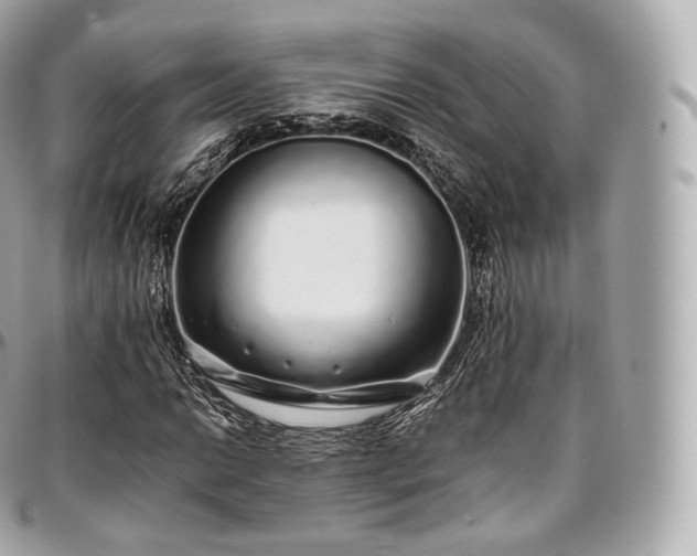 X0000097301014200802221330