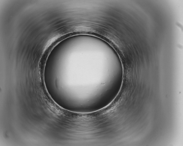 X0000097301022200802221330
