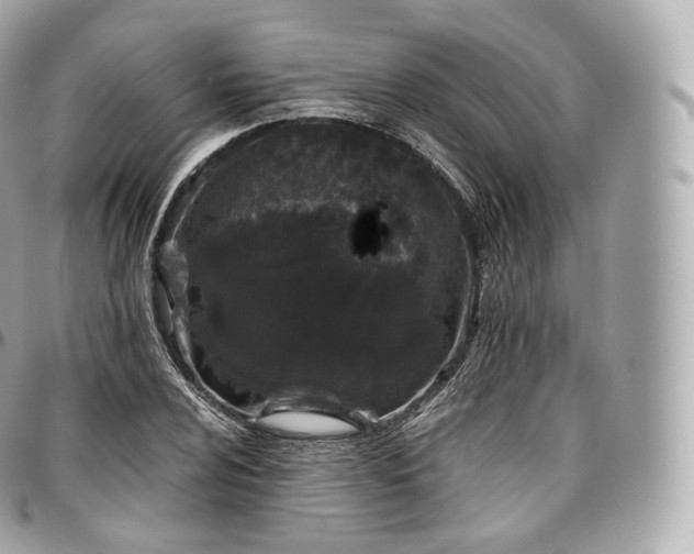 X0000097301024200802221330