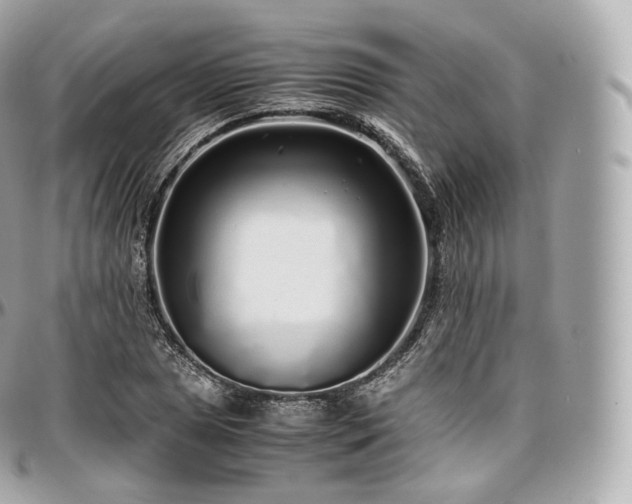 X0000097301025200802221330