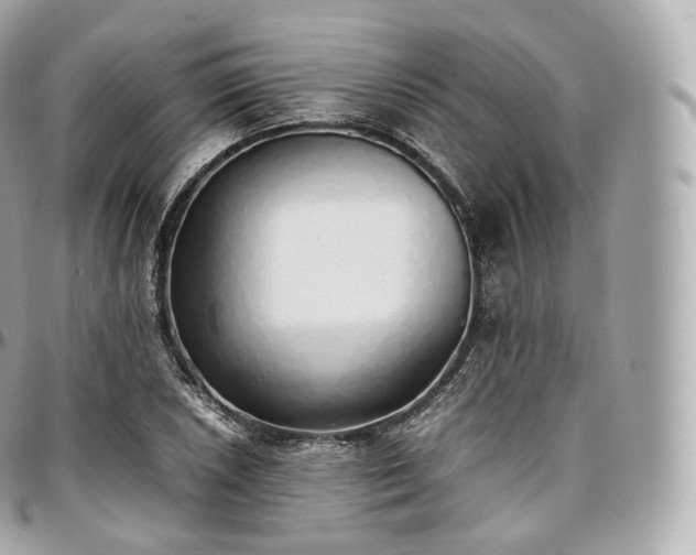 X0000097301026200802221330