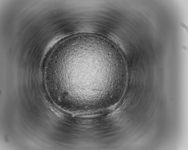 X0000097301027200802221330