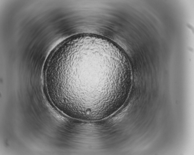 X0000097301028200802221330