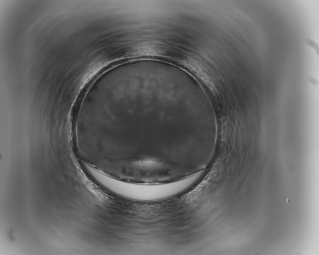 X0000097301031200802221330