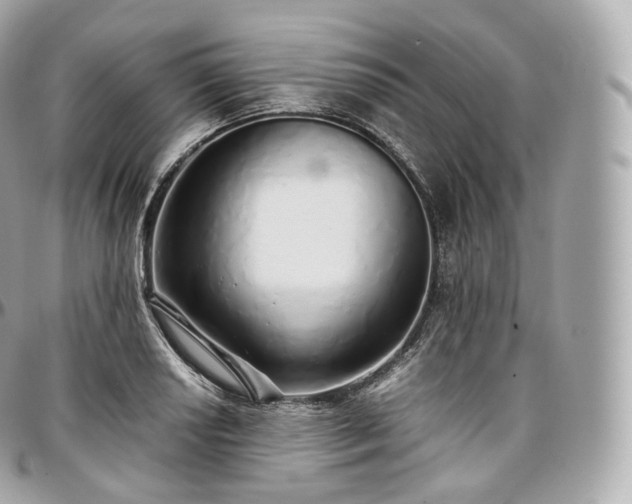 X0000097301034200802221330