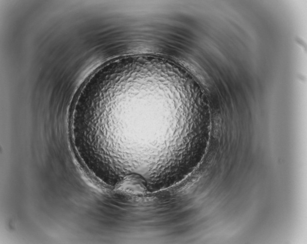 X0000097301039200802221331