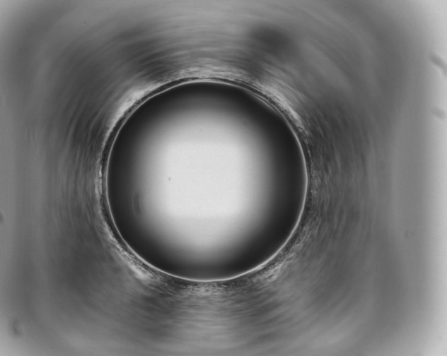 X0000097301040200802221331