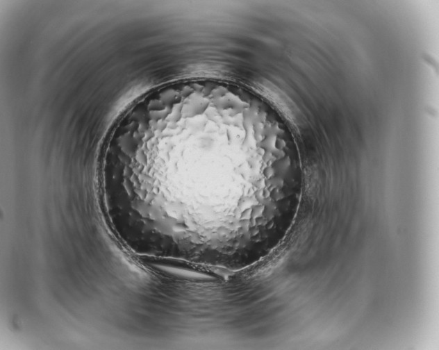 X0000097301043200802221331