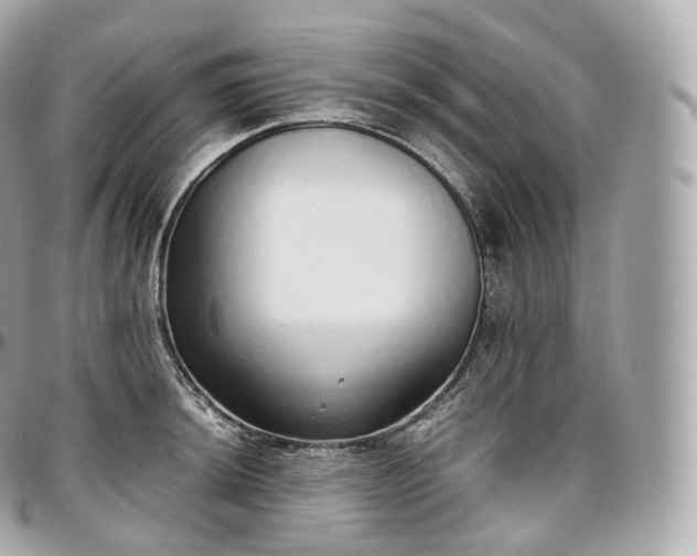 X0000097301044200802221331