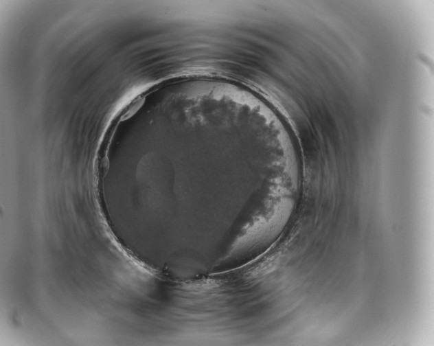 X0000097301045200802221331