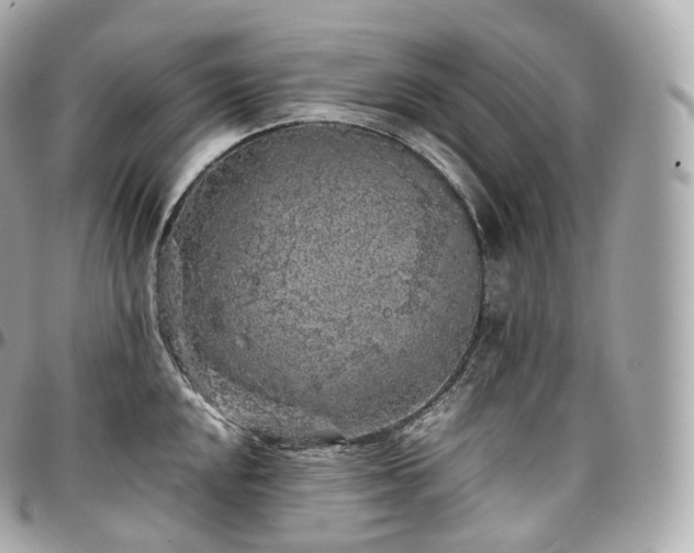 X0000097301048200802221331
