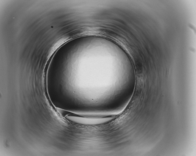 X0000097301050200802221331