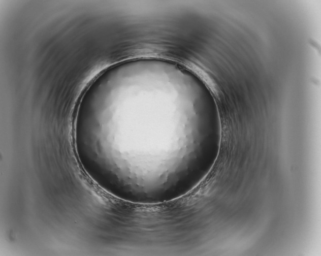 X0000097301051200802221331