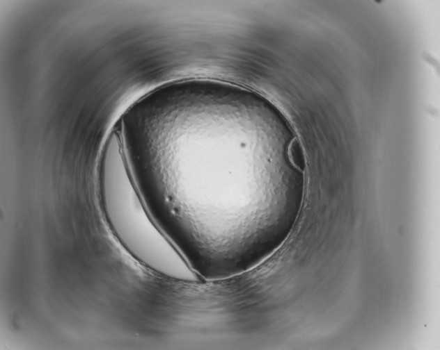 X0000097301056200802221331